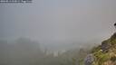 ./images/calvert/foggy-cove/20260811/foggy-cove20260811_065001M.jpg
