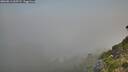./images/calvert/foggy-cove/20260811/foggy-cove20260811_065501M.jpg