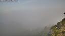 ./images/calvert/foggy-cove/20260811/foggy-cove20260811_071001M.jpg