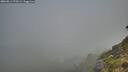 ./images/calvert/foggy-cove/20260811/foggy-cove20260811_072001M.jpg