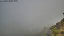 ./images/calvert/foggy-cove/20260811/foggy-cove20260811_072501M.jpg