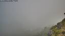 ./images/calvert/foggy-cove/20260811/foggy-cove20260811_073002M.jpg