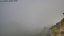 ./images/calvert/foggy-cove/20260811/foggy-cove20260811_073501M.jpg