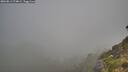./images/calvert/foggy-cove/20260811/foggy-cove20260811_074001M.jpg