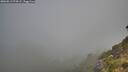 ./images/calvert/foggy-cove/20260811/foggy-cove20260811_074501M.jpg