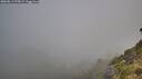 ./images/calvert/foggy-cove/20260811/foggy-cove20260811_075002M.jpg