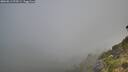 ./images/calvert/foggy-cove/20260811/foggy-cove20260811_075501M.jpg