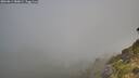 ./images/calvert/foggy-cove/20260811/foggy-cove20260811_080001M.jpg