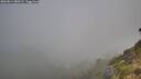 ./images/calvert/foggy-cove/20260811/foggy-cove20260811_080501M.jpg