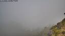 ./images/calvert/foggy-cove/20260811/foggy-cove20260811_081001M.jpg