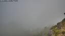 ./images/calvert/foggy-cove/20260811/foggy-cove20260811_082002M.jpg