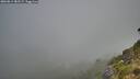 ./images/calvert/foggy-cove/20260811/foggy-cove20260811_082501M.jpg