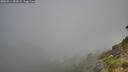 ./images/calvert/foggy-cove/20260811/foggy-cove20260811_083002M.jpg