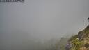 ./images/calvert/foggy-cove/20260811/foggy-cove20260811_083501M.jpg