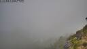 ./images/calvert/foggy-cove/20260811/foggy-cove20260811_084001M.jpg