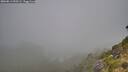 ./images/calvert/foggy-cove/20260811/foggy-cove20260811_090501M.jpg