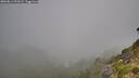 ./images/calvert/foggy-cove/20260811/foggy-cove20260811_091001M.jpg