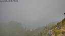 ./images/calvert/foggy-cove/20260811/foggy-cove20260811_092501M.jpg