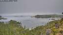./images/calvert/foggy-cove/20260811/foggy-cove20260811_094001M.jpg