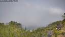 ./images/calvert/foggy-cove/20260811/foggy-cove20260811_095001M.jpg