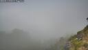 ./images/calvert/foggy-cove/20260811/foggy-cove20260811_095501M.jpg