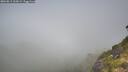 ./images/calvert/foggy-cove/20260811/foggy-cove20260811_100002M.jpg