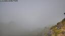 ./images/calvert/foggy-cove/20260811/foggy-cove20260811_100501M.jpg