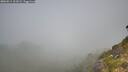 ./images/calvert/foggy-cove/20260811/foggy-cove20260811_101001M.jpg