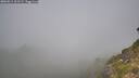 ./images/calvert/foggy-cove/20260811/foggy-cove20260811_101501M.jpg