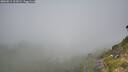 ./images/calvert/foggy-cove/20260811/foggy-cove20260811_102001M.jpg