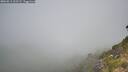 ./images/calvert/foggy-cove/20260811/foggy-cove20260811_102502M.jpg