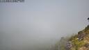 ./images/calvert/foggy-cove/20260811/foggy-cove20260811_103001M.jpg