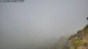 ./images/calvert/foggy-cove/20260811/foggy-cove20260811_103501M.jpg