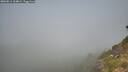 ./images/calvert/foggy-cove/20260811/foggy-cove20260811_104001M.jpg