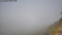 ./images/calvert/foggy-cove/20260811/foggy-cove20260811_104501M.jpg