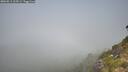 ./images/calvert/foggy-cove/20260811/foggy-cove20260811_105501M.jpg