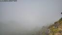 ./images/calvert/foggy-cove/20260811/foggy-cove20260811_110002M.jpg