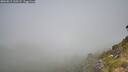 ./images/calvert/foggy-cove/20260811/foggy-cove20260811_110501M.jpg