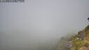 ./images/calvert/foggy-cove/20260811/foggy-cove20260811_111001M.jpg