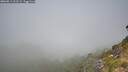 ./images/calvert/foggy-cove/20260811/foggy-cove20260811_111502M.jpg