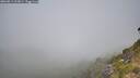 ./images/calvert/foggy-cove/20260811/foggy-cove20260811_112001M.jpg