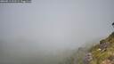 ./images/calvert/foggy-cove/20260811/foggy-cove20260811_112501M.jpg