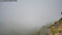 ./images/calvert/foggy-cove/20260811/foggy-cove20260811_113001M.jpg