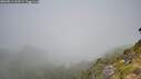 ./images/calvert/foggy-cove/20260811/foggy-cove20260811_113501M.jpg