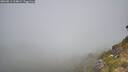 ./images/calvert/foggy-cove/20260811/foggy-cove20260811_114002M.jpg