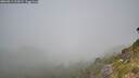 ./images/calvert/foggy-cove/20260811/foggy-cove20260811_114501M.jpg