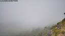 ./images/calvert/foggy-cove/20260811/foggy-cove20260811_115001M.jpg