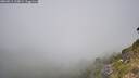 ./images/calvert/foggy-cove/20260811/foggy-cove20260811_120002M.jpg