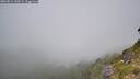 ./images/calvert/foggy-cove/20260811/foggy-cove20260811_120501M.jpg
