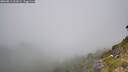 ./images/calvert/foggy-cove/20260811/foggy-cove20260811_121001M.jpg